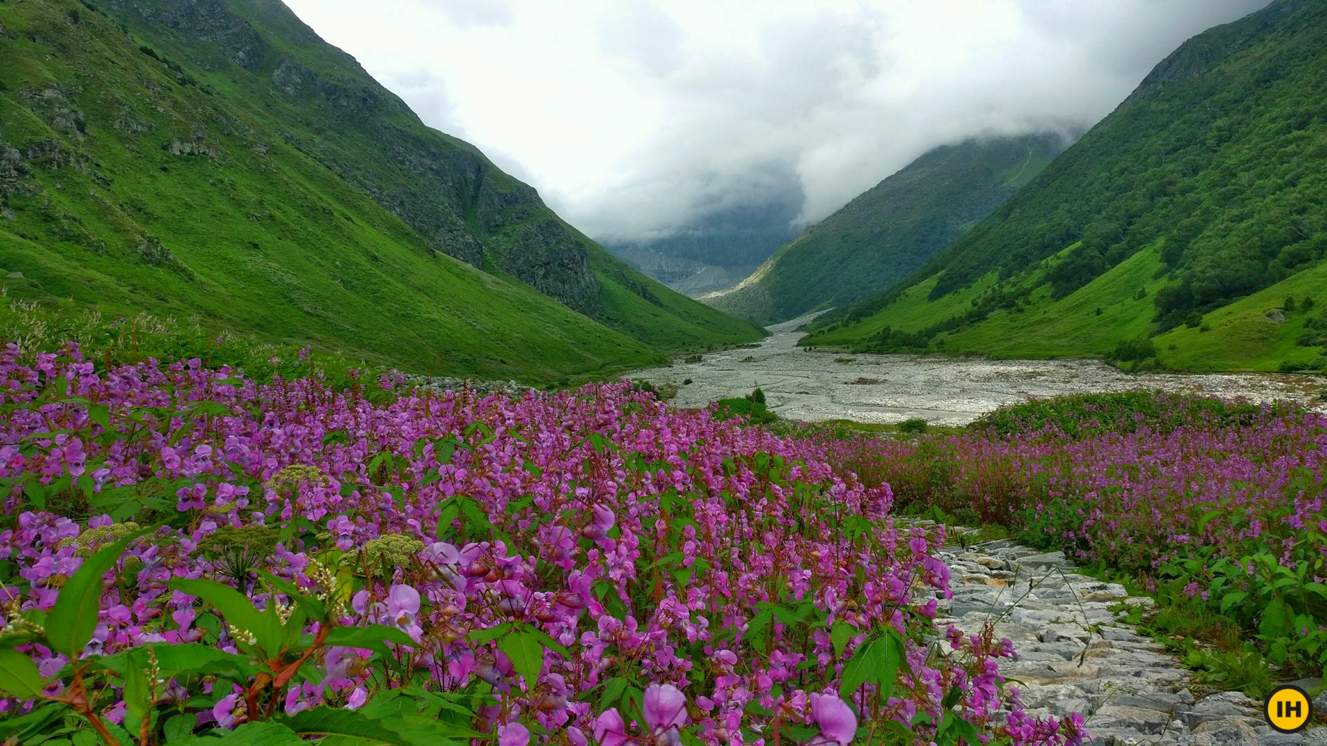Amazing Hemkund Package A Valley Of Flower Tour
